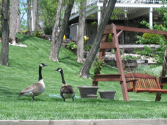 Friendly Neighbors