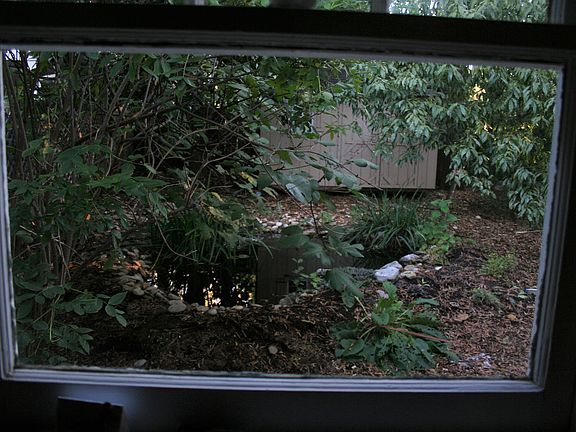 Pond view from Kitchen