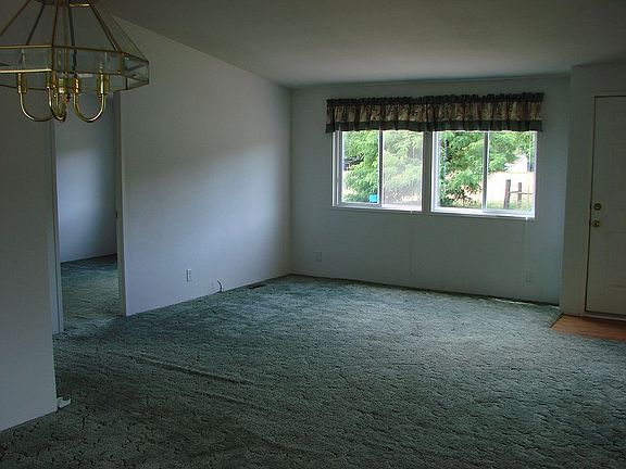 5th image of 503 Damian Cir