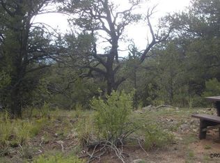 Tbd 22nd Trl, Cotopaxi, CO 81223