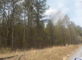 Stubbstown Rd, Bennettsville, SC 29512