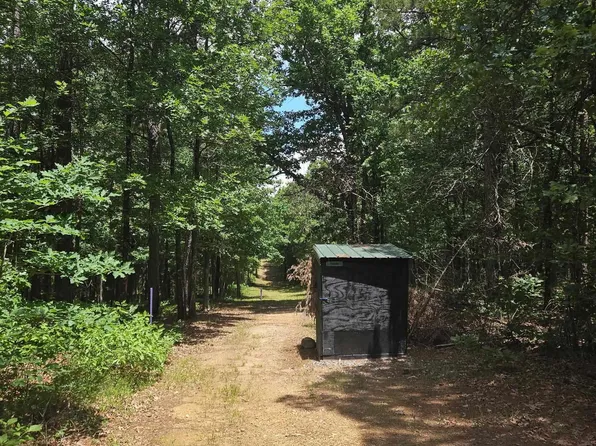 40220 Reece Creek Rd, Bigelow, AR 72016