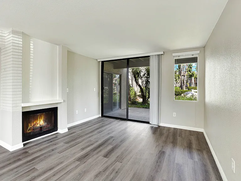 Lake Dianne Apartment Homes One Bedroom Living room with fireplace