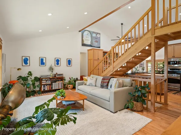 645 Grace Dr, Carbondale, CO 81623