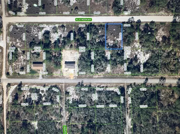 325 Blue Moon Ave Lot 7, Lake Placid, FL 33852
