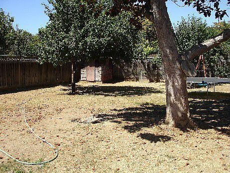 Back Yard Facing SW