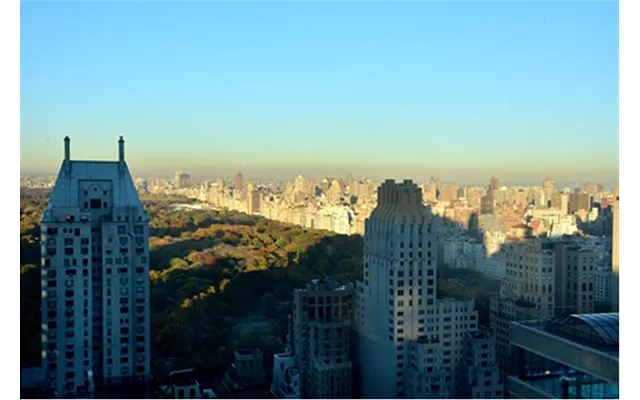 Rented by Douglas Elliman | media 18