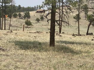 202 Color Sweet Dr, Cotopaxi, CO 81223