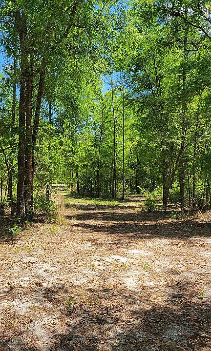 Beautiful! 5 acres Land 