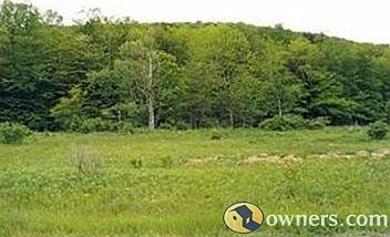 2nd image of 323 Hulbert Hollow Rd