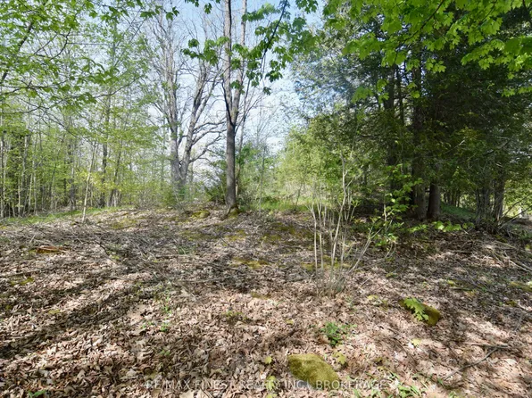 LOT 3 Ballantra Dr, Stone Mills, ON K0K 3G0