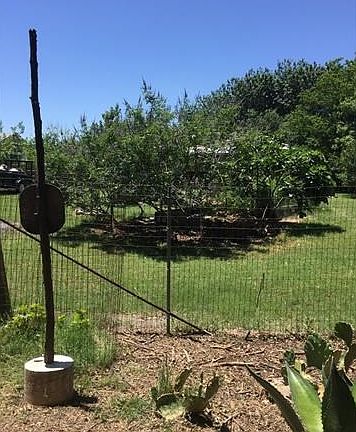 3rd image of 409 Bonita Vista Dr