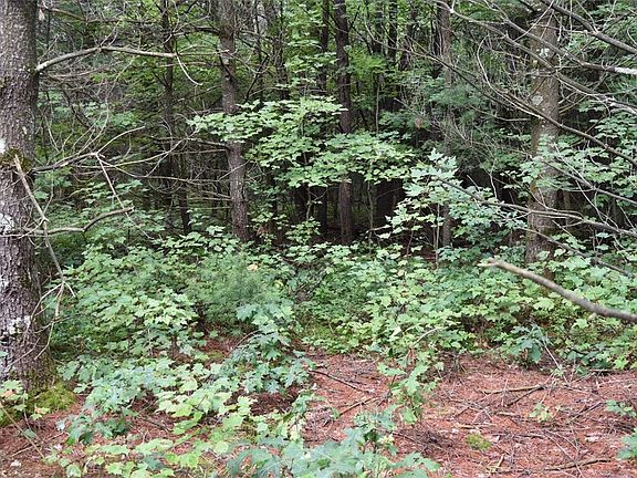 4th image of 10 Acres Kovar Road