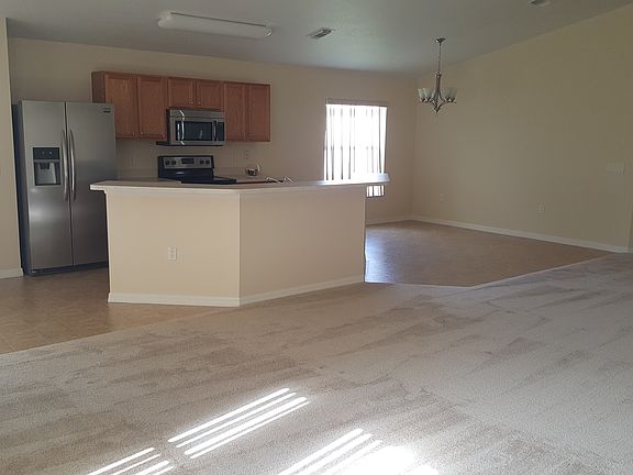 2nd image of 464 Dahoon Holly Dr