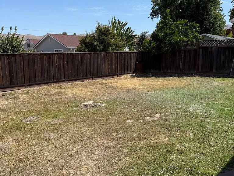 41320 Beatrice St — Photo 20