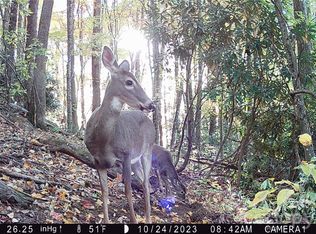 2778 Mule Stomp Rd, Hot Springs, NC 28743