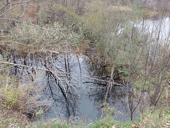 4th image of 981 County Route 15