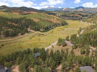 13340 S Cedar Cir, Pine, CO 80470