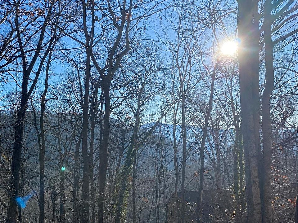 2nd image of 0 Wash Freeman Rd