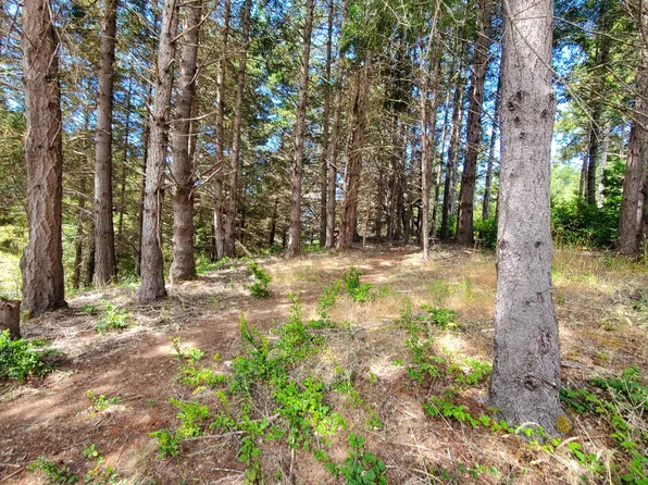 498 & 508 Humboldt Loop, Whitethorn, CA 95589