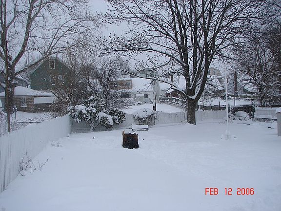 Winter Wonderland Backyard