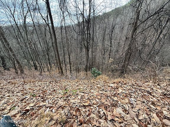 3rd image of LOT 34 Alpine Dr