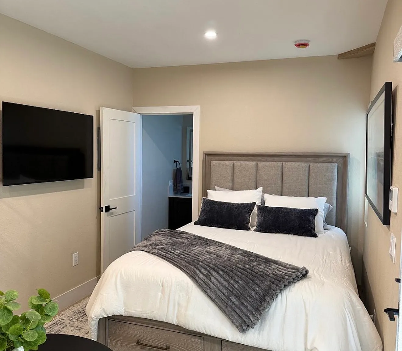 Studio, 260 sqft, $2,100 — Photo 1