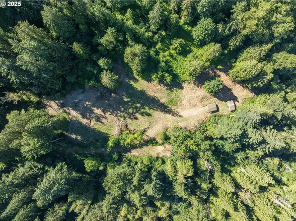 0 NE Johnson Rd, La Center, WA 98629