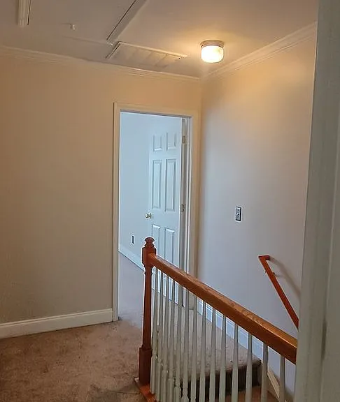 201 Hampton Forest Dr — Photo 21