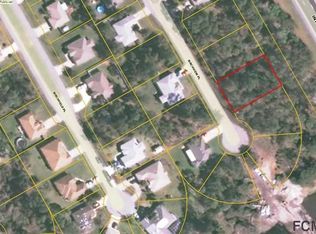 21 Birchview Pl, Palm Coast, FL 32137