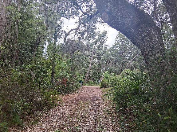 4th image of 11760 E Cove Springs Path