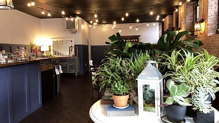 Rented by Bold New York