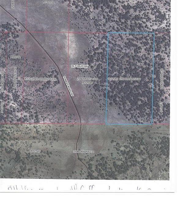 1st image of Forest Rd #157