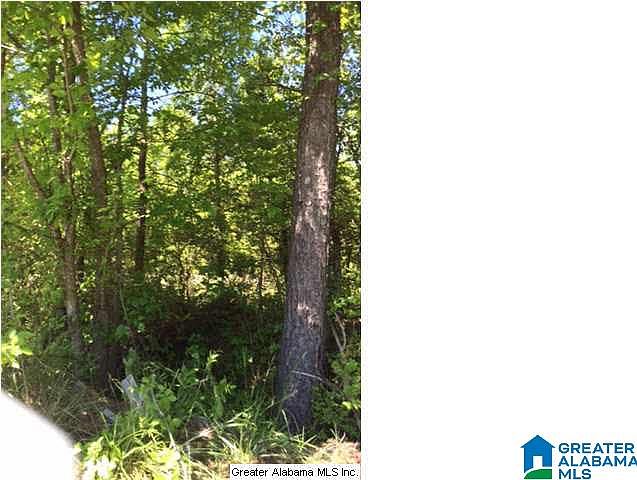 2nd image of Highway 12 Acres
