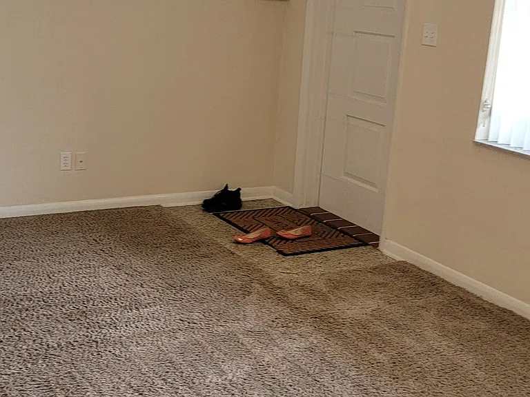 10209 N Valle Dr — Photo 116