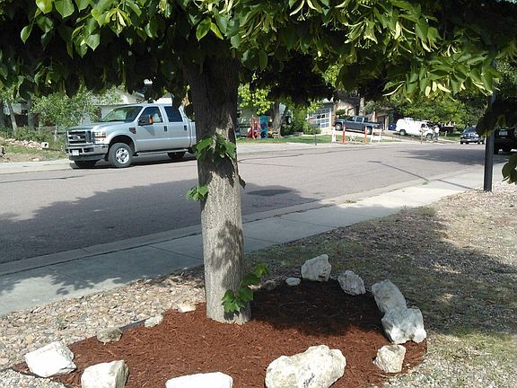 Front yard facing the street