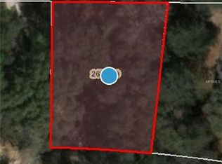 Palm St, Lady lake, FL 32159