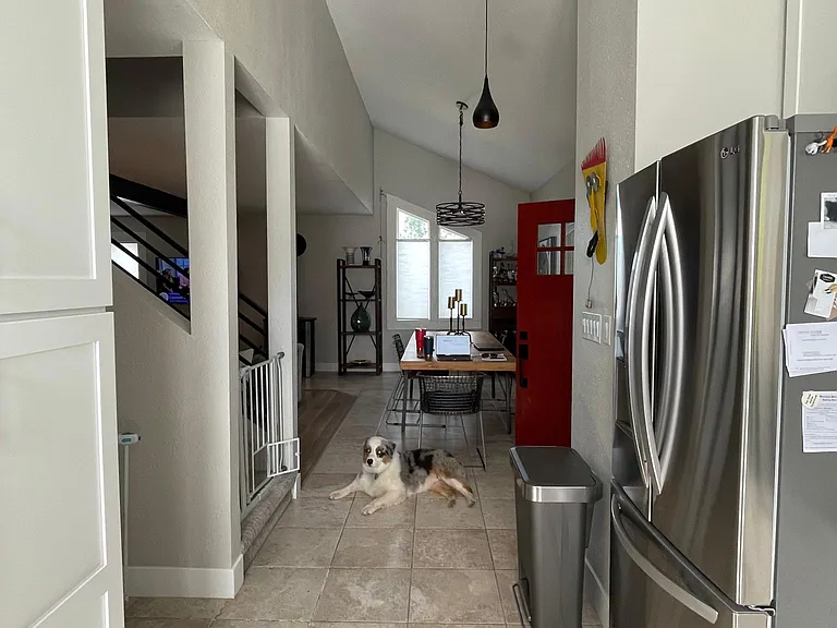 1362 Blue Sage Dr — Photo 6