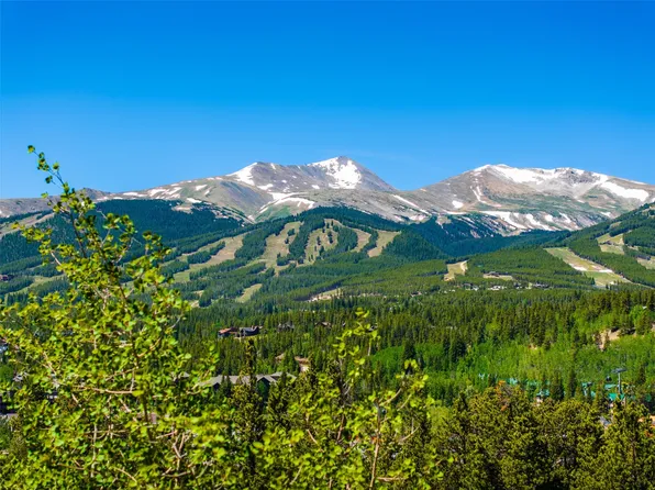 309 Royal Tiger Road, Breckenridge, CO 80424