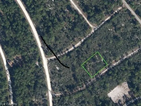 3131 Forest Ave, Lake Placid, FL 33852