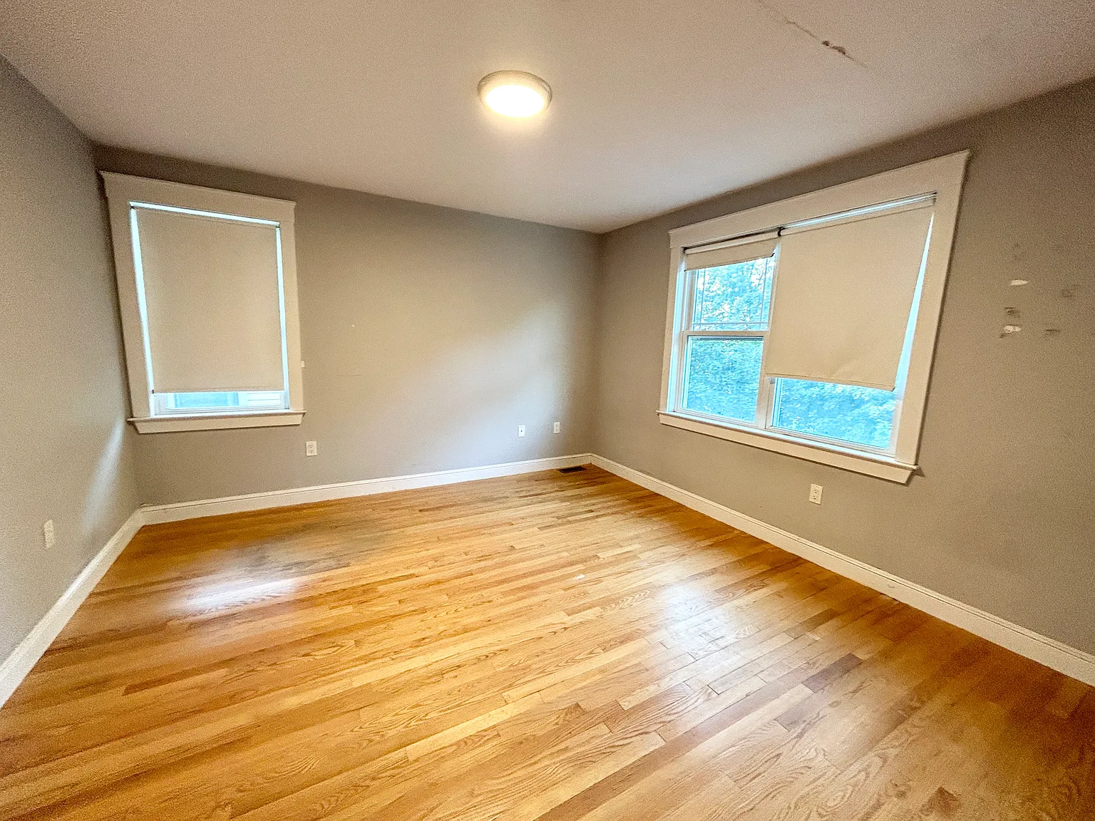 5 bed, 3.5 bath, 1400 sqft, $8,500 — Photo 4