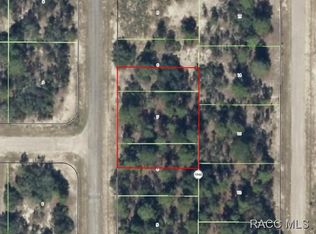6707 N Dunlap Ter, Citrus Springs, FL 34433