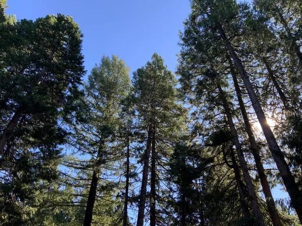0 Star Trek Dr, Shingletown, CA 96088