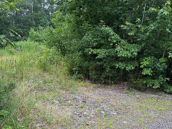 3rd image of Lot 10 White Deer Circle