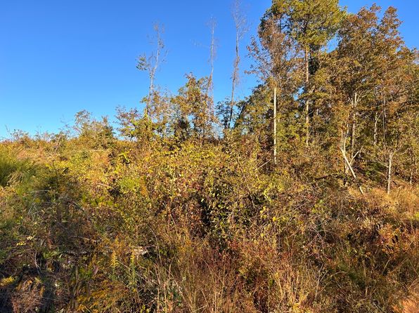 0 Morrissette Rd, Lower Peach Tree, AL 36751