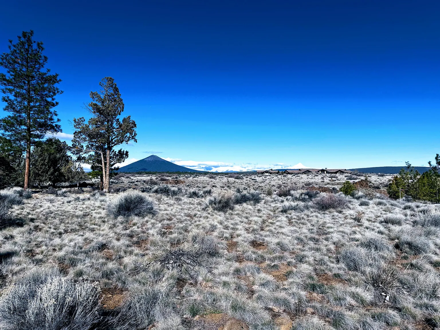 70060 Annies Dr photo 1