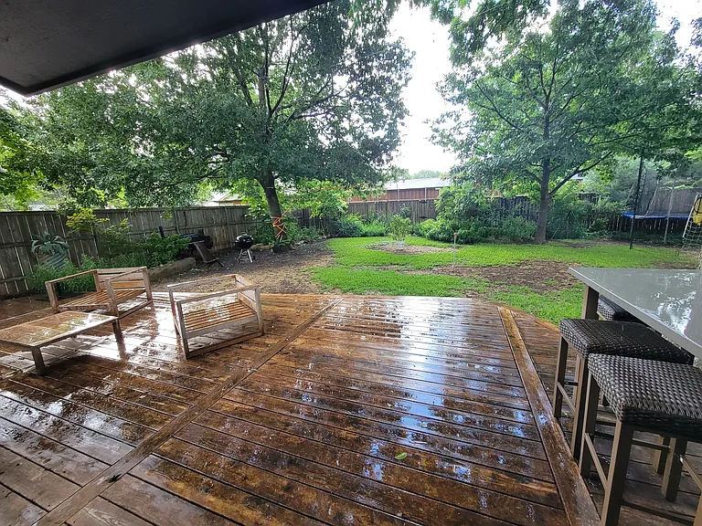 Backyard
