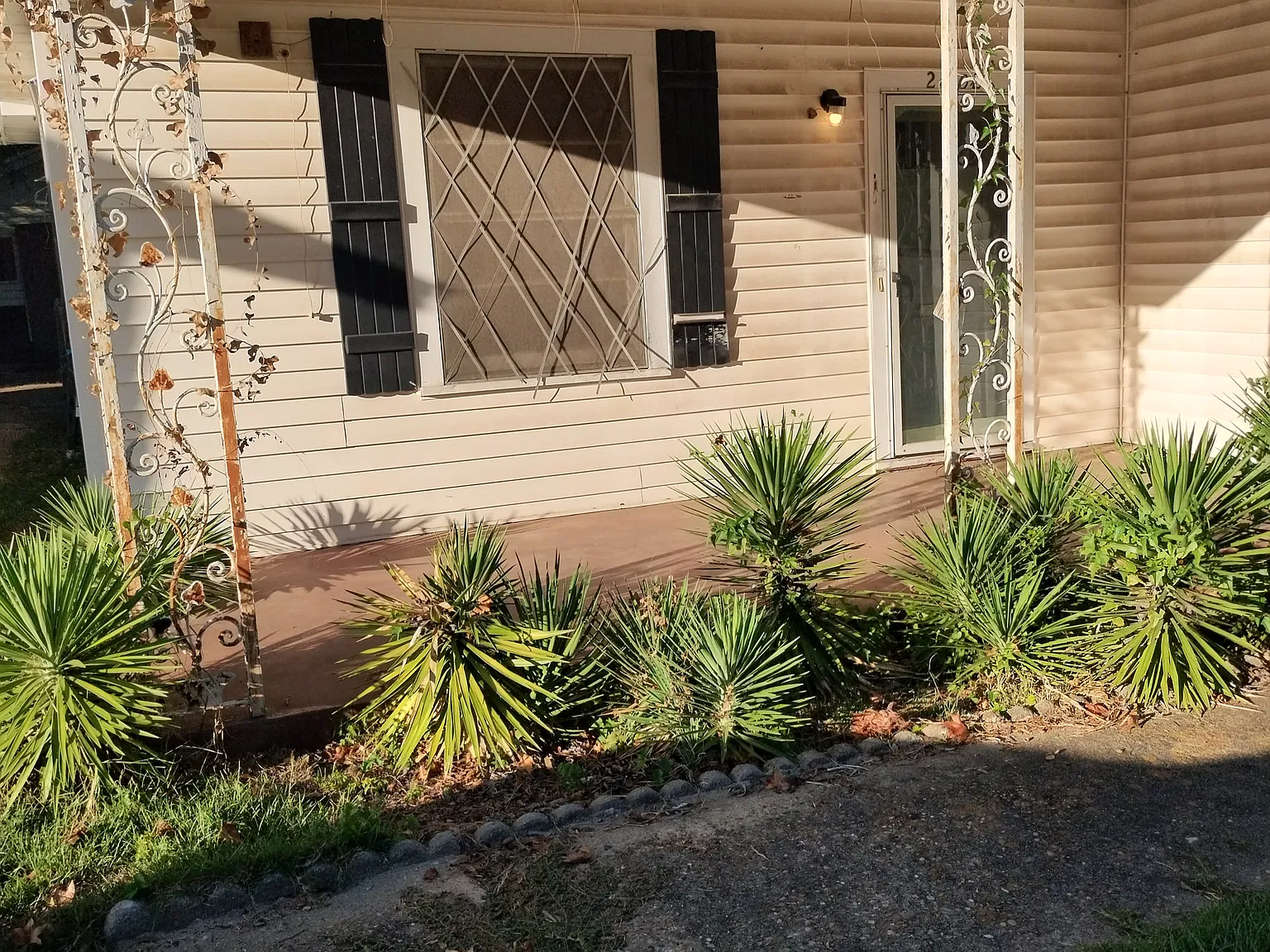2 bed, 960 sqft, $850 — Photo 2