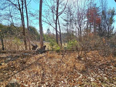 Tbd Ny 375, Woodstock, NY, 12498