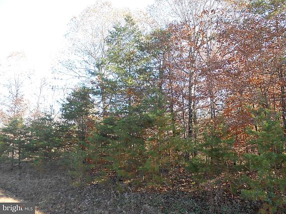 Road frontage